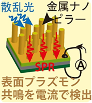 SPR photodetector