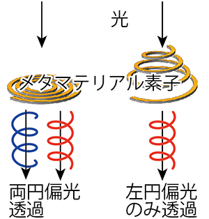 Kirigami Spiral