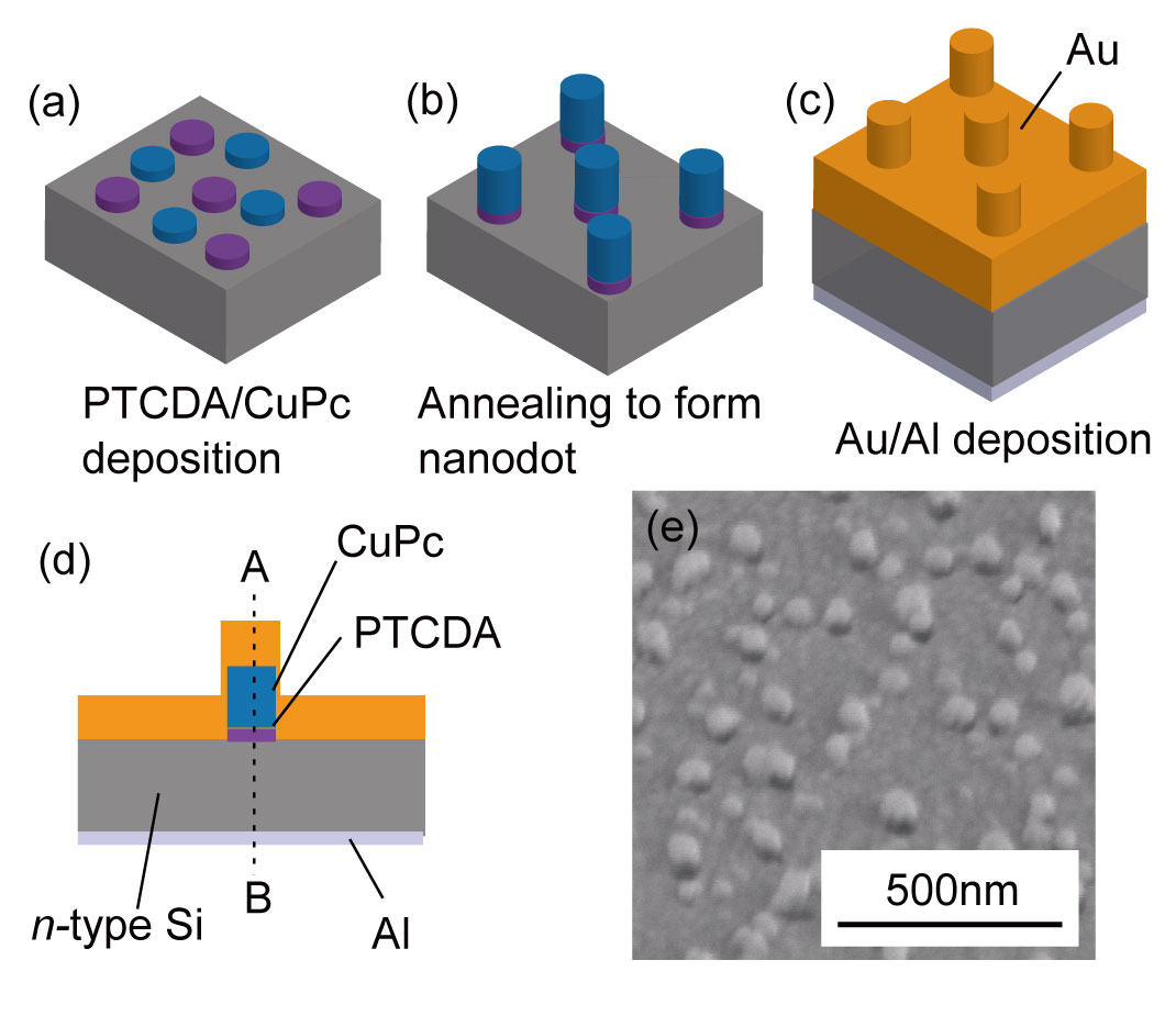 Organic IR photodetector