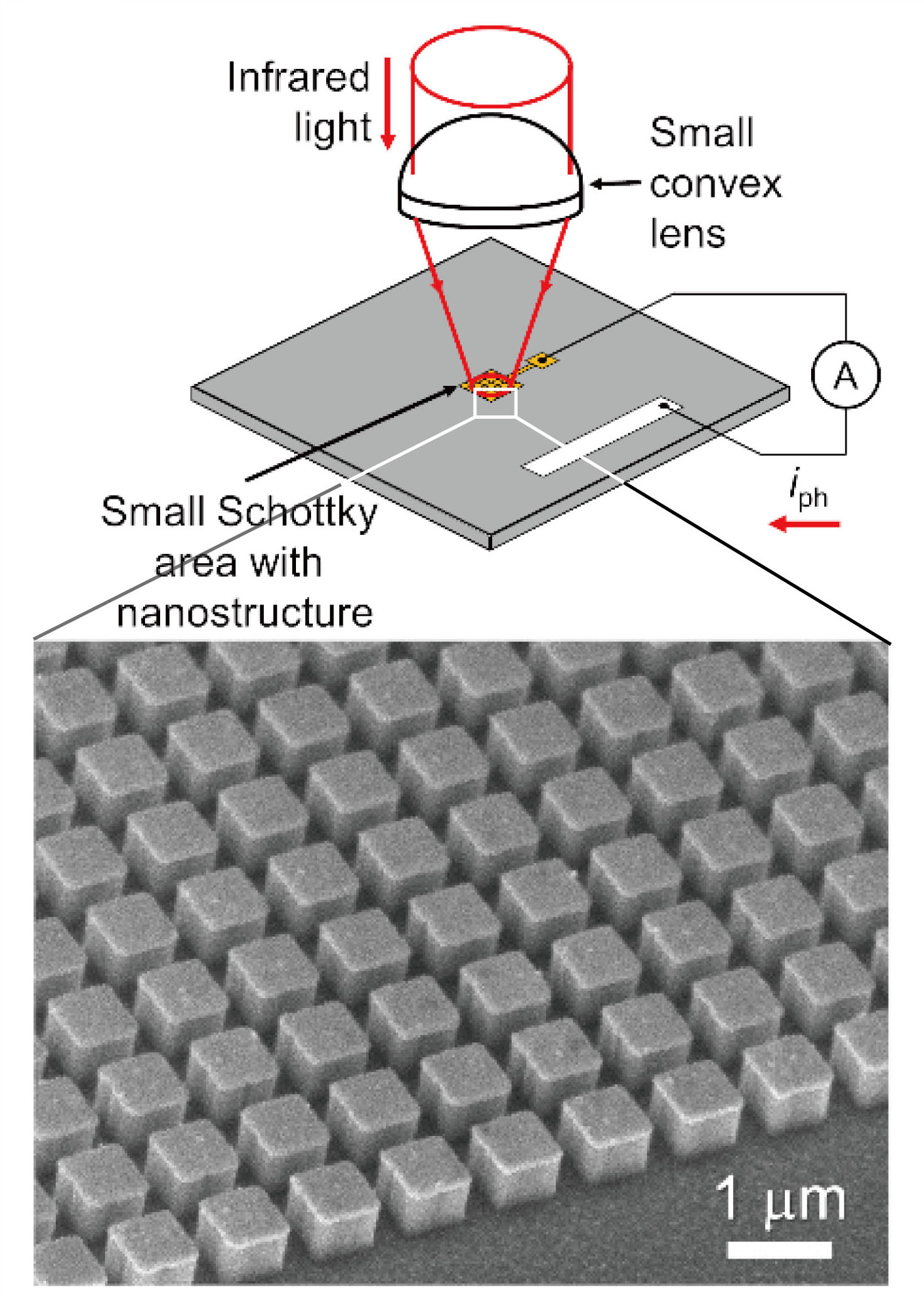 Nanocuboid array photodetector