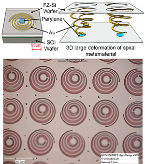 3D defromed spiral