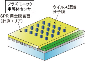 SPR sensor